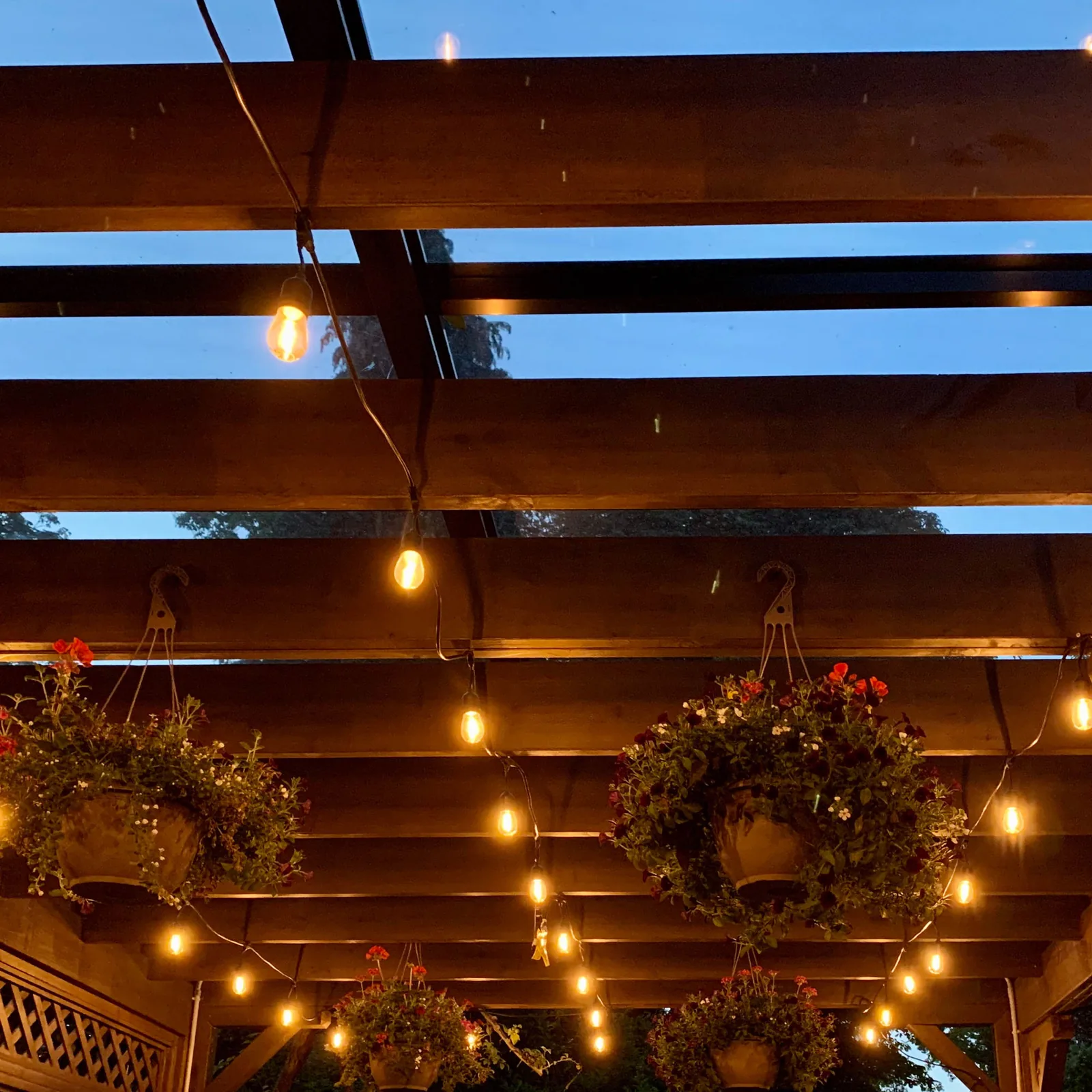 Shaughnessy Home Landscaping