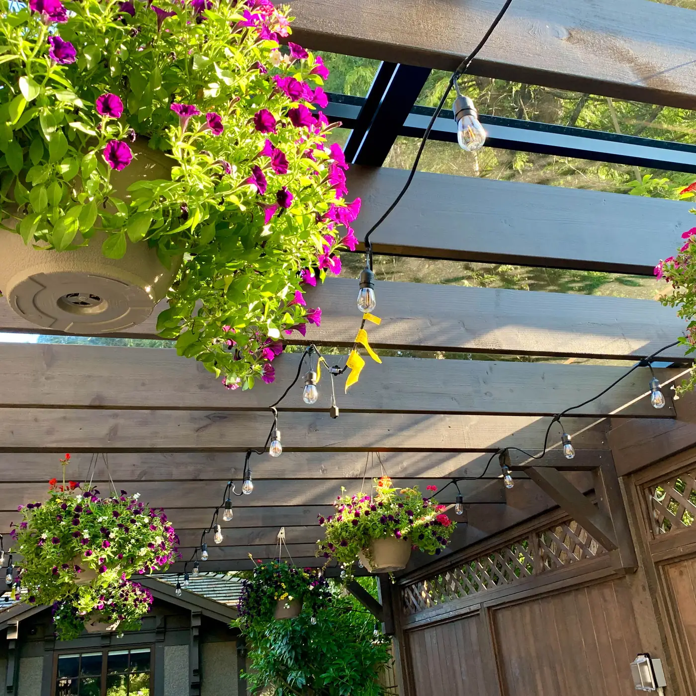 Shaughnessy Home Landscaping, a landscaping project by Costar Construction at 1428 King Edward St, Vancouver, photo 4 of 5
